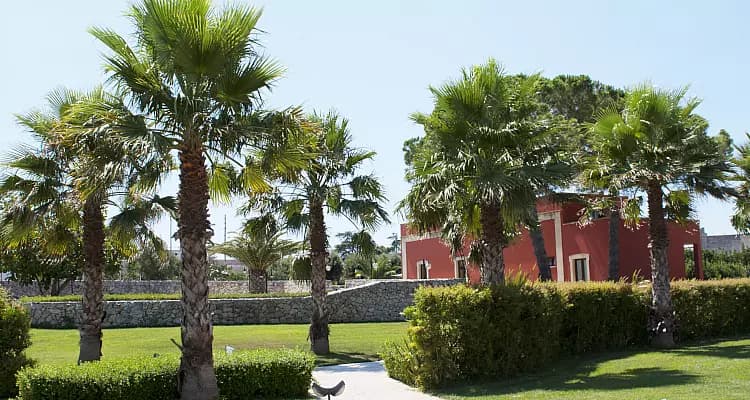 Esterno