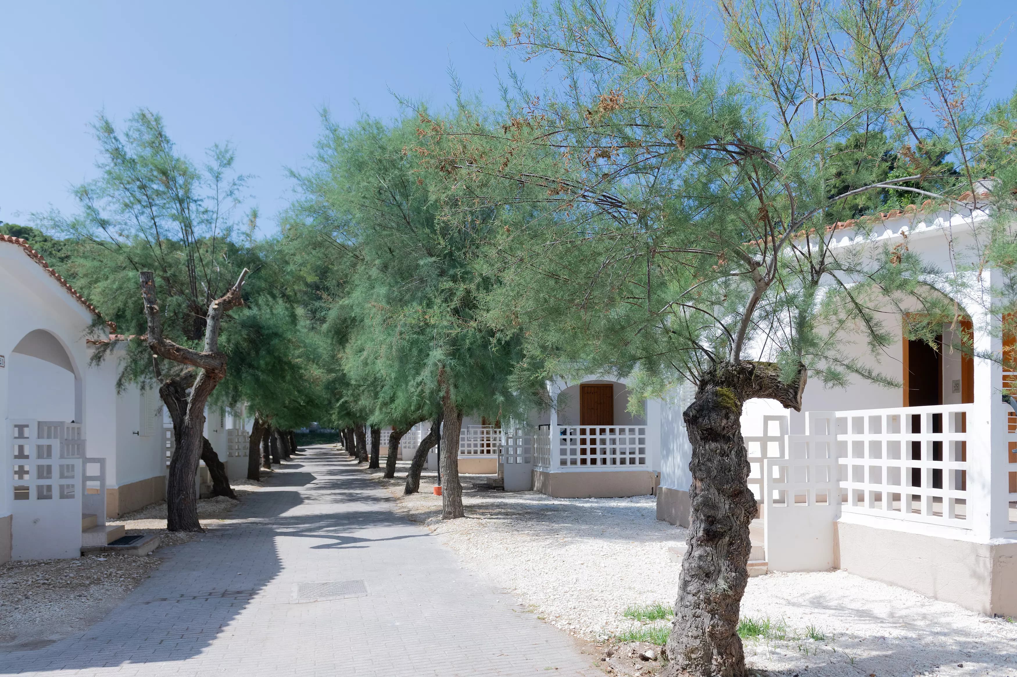 Bungalow