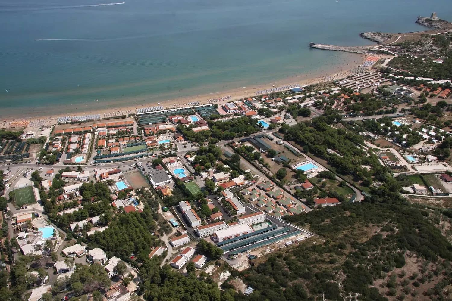Immagine 2