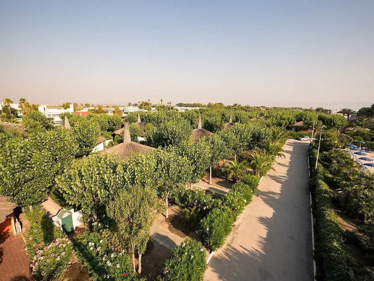 Viale